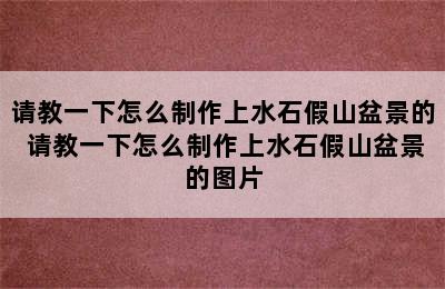 请教一下怎么制作上水石假山盆景的 请教一下怎么制作上水石假山盆景的图片